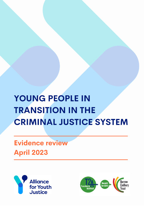 Cover image of AYJ's evidence review